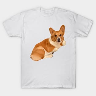 Corgi Dog Relaxing T-Shirt